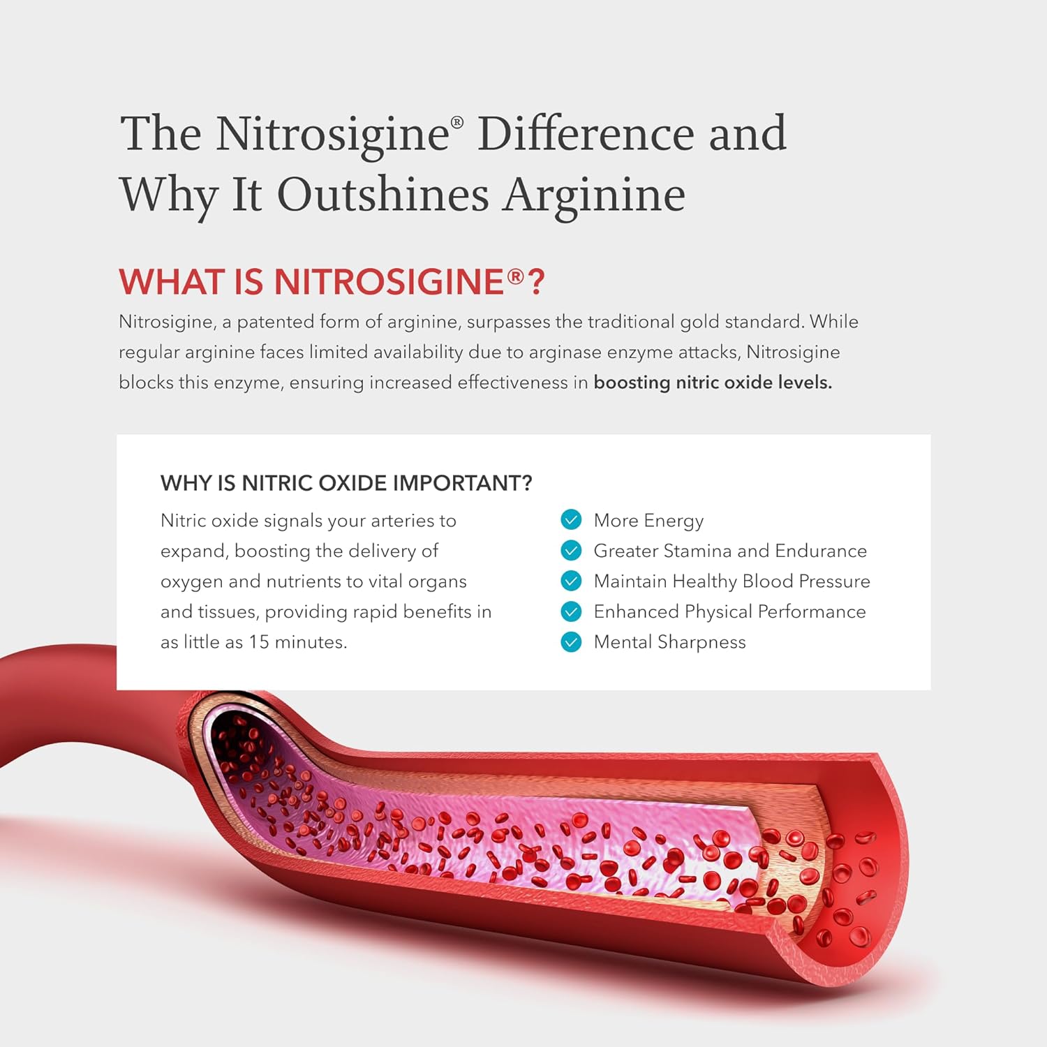 loodFlow-7 Nitric Oxide Supplement with Nitrosigine